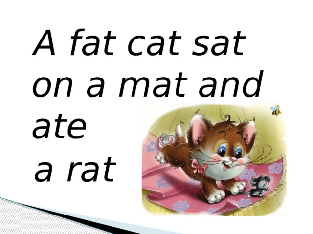  A fat cat sat on a mat and ate  a rat 
