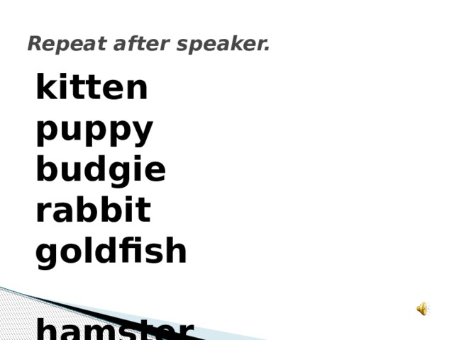 Repeat after speaker. kitten puppy budgie rabbit goldfish   hamster guinea pig parrot rat canary 