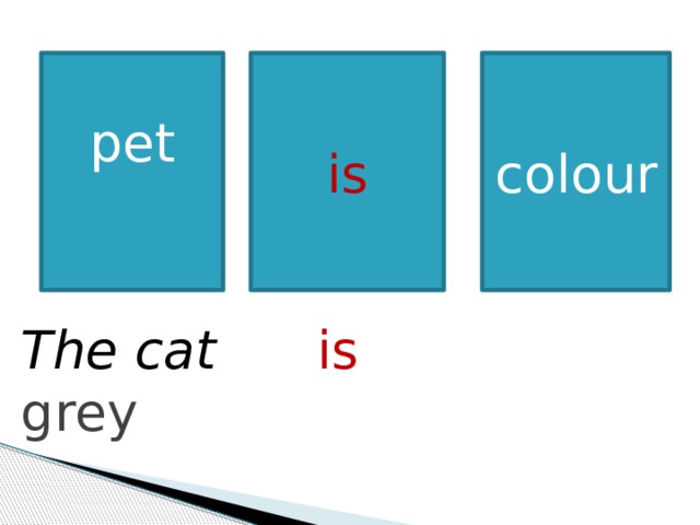 pet is colour The cat  is  grey 