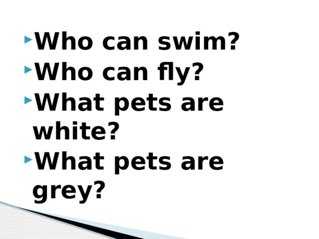 Who can swim? Who can fly? What pets are white? What pets are grey? 