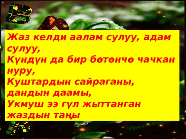 Жаз келди аалам сулуу, адам сулуу, Күндүн да бир бөтөнчө чачкан нуру, Куштардын сайраганы, дандын даамы, Укмуш ээ гүл жыттанган жаздын таңы 