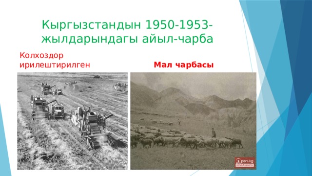 Кыргызстандын 1950-1953-жылдарындагы айыл-чарба Колхоздор  ирилештирилген Мал чарбасы 