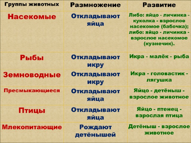 Тех карта 3 класс размножение и развитие животных