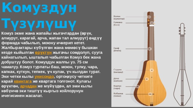 Комуздун Түзүлүшү Комуз экме жана жапайы жыгачтардан (өрүк, алмурут, карагай, арча, жапан тал алмурут) өңдүү формада чабылып, моюну ичкерип кетет. Жалбырактары күбүлгөн жана мөмөсү бышкан кезде кыйылган  өрүктүн  жыгачы сомдолуп, сууга кайнатылып, ышталып чабылган Комуз бек жана добуштуу болот. Комуздун жалпы уз. 75 см чамалуу. Комуз турпаты баш, моюн, тулку, чара, капкак, куткун, тепкек, үч кулак, үч кылдан турат. Эки четки кылы  унисондо , ортоңкусу четкиге карай  квинтага  же квартага толгонот. Кулагы өрүктөн,  арчадан  же мүйүздөн, ал эми кылы көбүнчө эки тиштүү кыргыз койлорунун ичегисинен жасалат. 