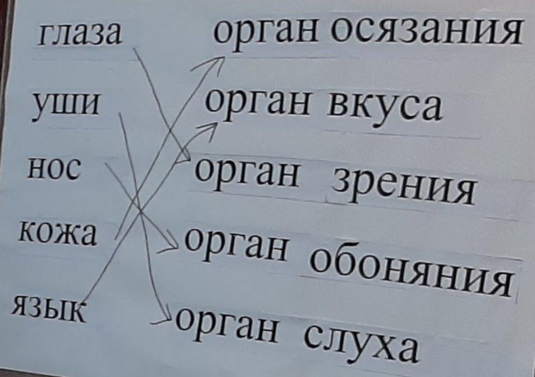 План-конспект конкурсного урока по окружающему миру на тему: 