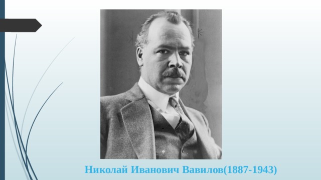 Николай Иванович Вавилов(1887-1943) 
