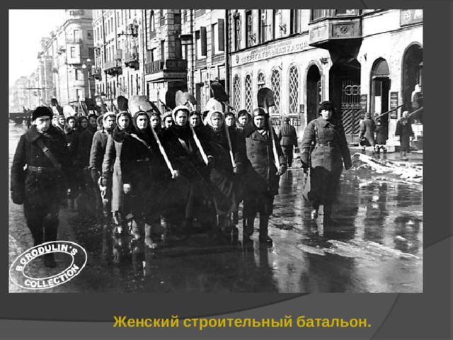 Женский строительный батальон. 