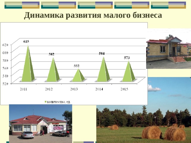 Динамика развития малого бизнеса 