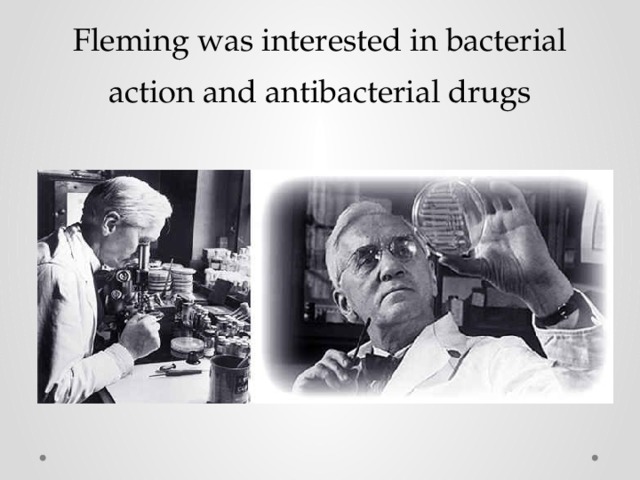 Fleming was interested in bacterial action and antibacterial drugs 
