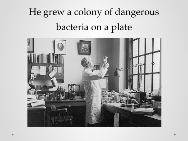 He grew a colony of dangerous bacteria on a plate 