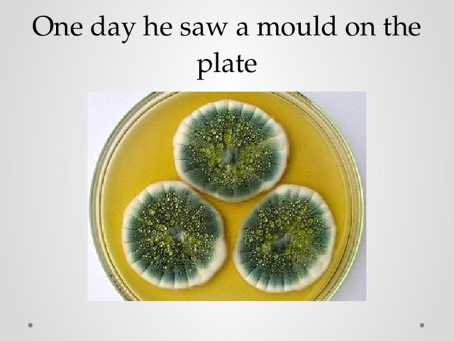 One day he saw a mould on the plate 