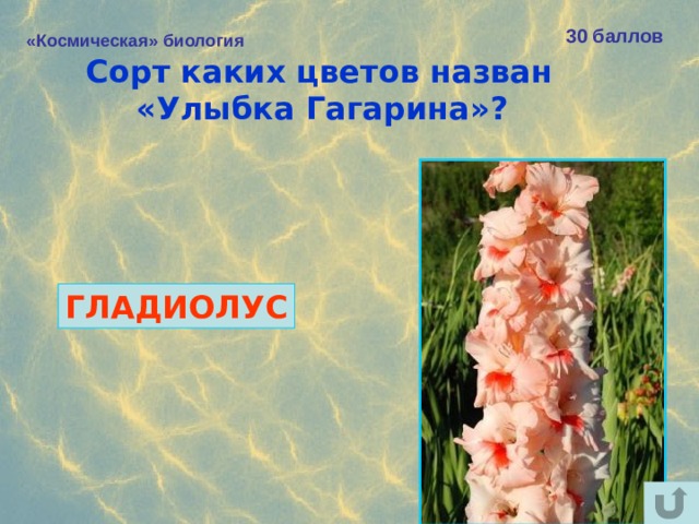 Улыбка гагарина гладиолус фото и описание