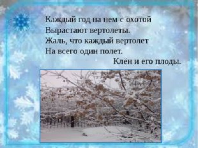 Зимние месяцы окружающий мир 2 класс перспектива презентация