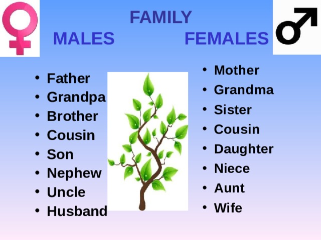 FAMILY MALES FEMALES Mother Grandma Sister Cousin Daughter Niece Aunt Wife ...