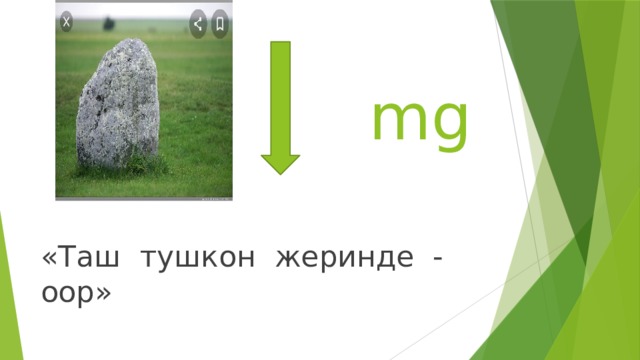  mg «Таш тушкон жеринде - оор» 