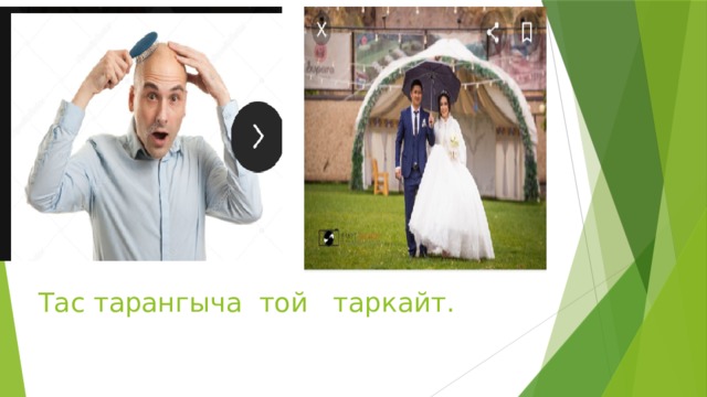 Тас тарангыча той таркайт. 