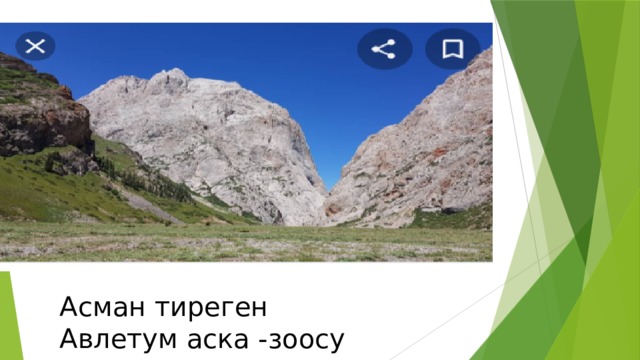 Асман тиреген Авлетум аска -зоосу 
