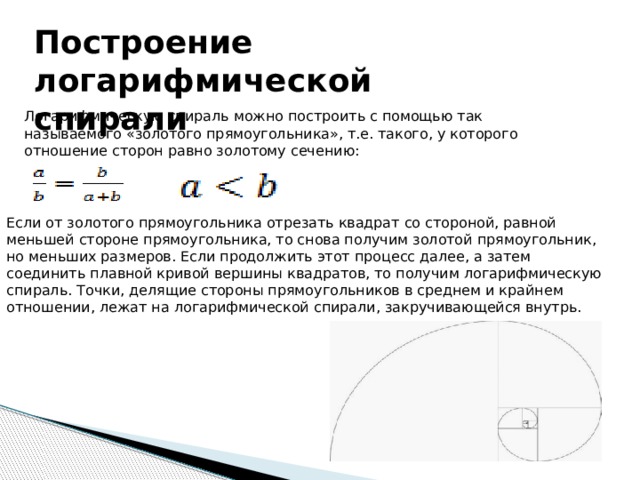 Построение логарифмической спирали Логарифмическую спираль можно построить с помощью так называемого «золотого прямоугольника», т.е. такого, у которого отношение сторон равно золотому сечению: Если от золотого прямоугольника отрезать квадрат со стороной, равной меньшей стороне прямоугольника, то снова получим золотой прямоугольник, но меньших размеров. Если продолжить этот процесс далее, а затем соединить плавной кривой вершины квадратов, то получим логарифмическую спираль. Точки, делящие стороны прямоугольников в среднем и крайнем отношении, лежат на логарифмической спирали, закручивающейся внутрь.  