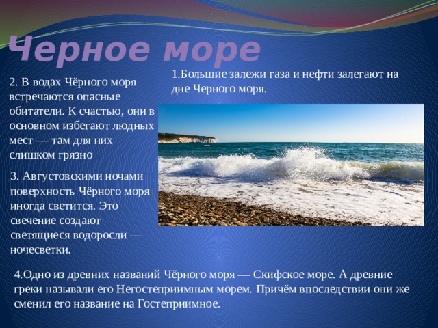 Интересные факты о море