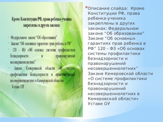 Описание слайда:  Кроме Конституции РФ, права ребенка-ученика закреплены в других законах: Федеральном законе “Об образовании” Законе “Об основных гарантиях прав ребенка в РФ” 120 - ФЗ «Об основах системы профилактики безнадзорности и правонарушений несовершеннолетних” Законе Кемеровской области «О системе профилактики безнадзорности и правонарушений несовершеннолетних в Кемеровской области» Уставе ОУ 