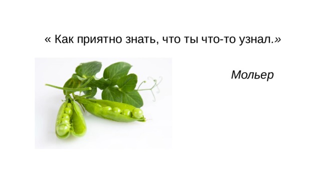  « Как приятно знать, что ты что-то узнал .»   Мольер 