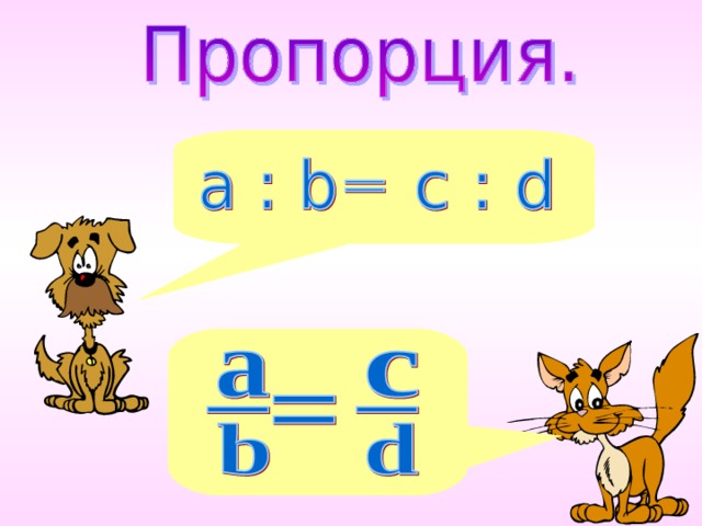 Внешний вид пропорции 5 