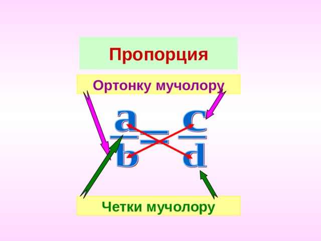 Пропорция Ортонку мучолору Четки мучолору 