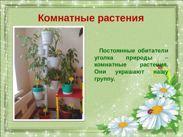 Комнатные растения  Постоянные обитатели уголка природы – комнатные растения. Они украшают нашу группу. 