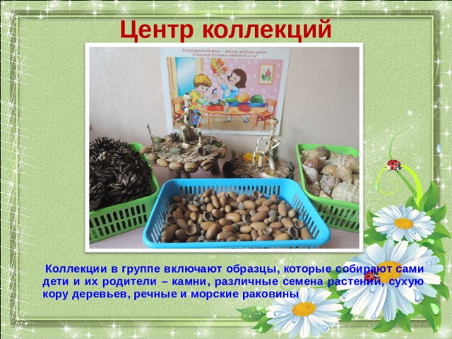 Центр коллекций  Коллекции в группе включают образцы, которые собирают сами дети и их родители – камни, различные семена растений, сухую кору деревьев, речные и морские раковины 