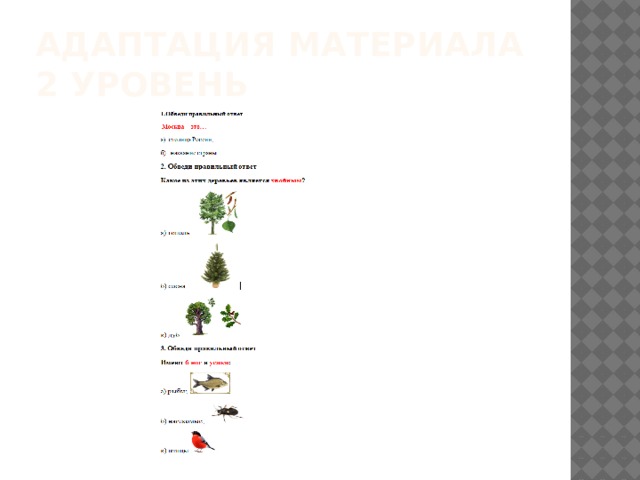 Адаптация материала 2 уровень 