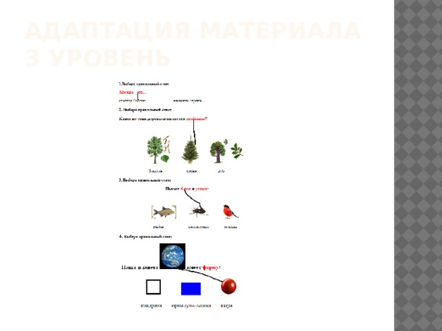 Адаптация материала 3 уровень 