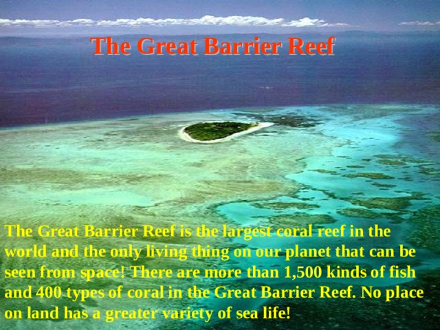 The Great Barrier Reef The Great Barrier Reef is the largest coral reef in the world and the only living thing on our planet that can be seen from space! There are more than 1,500 kinds of fish and 400 types of coral in the Great Barrier Reef. No place on land has a greater variety of sea life! 