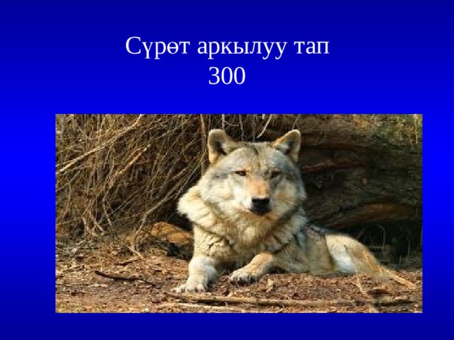 Сүрөт аркылуу тап  300 