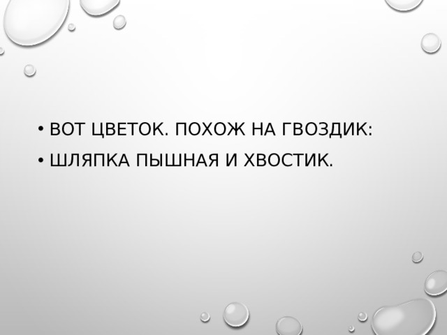 Вот цветок. Похож на гвоздик: Шляпка пышная и хвостик. 