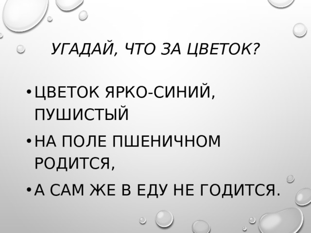 УГадай, что за цветок? Цветок ярко-синий, пушистый На поле пшеничном родится, А сам же в еду не годится. 