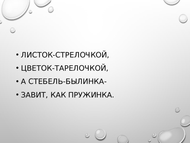 Листок-стрелочкой, Цветок-тарелочкой, А стебель-былинка- Завит, как пружинка. 