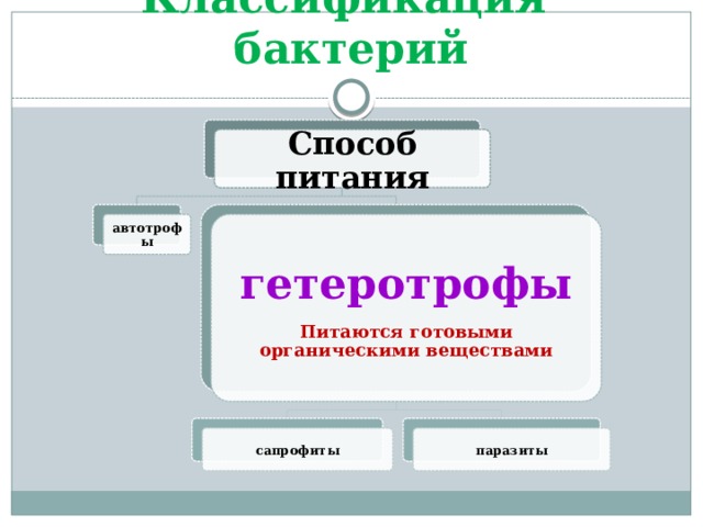 Классификация бактерий Способ питания гетеротрофы автотрофы Питаются готовыми органическими веществами сапрофиты паразиты 