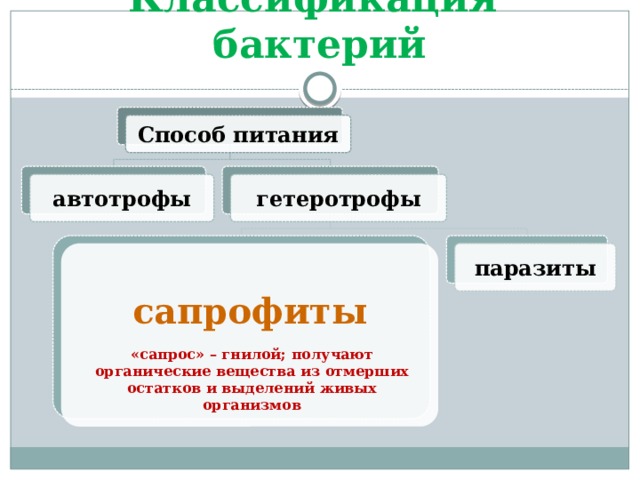 Обмен веществ автотрофов и гетеротрофов