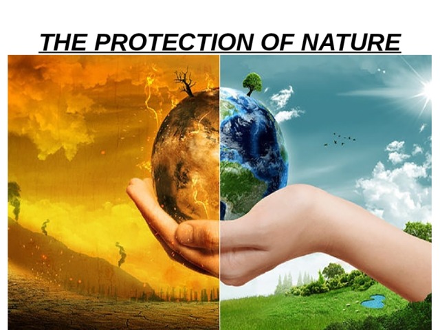 essay about nature is both protective and destructive