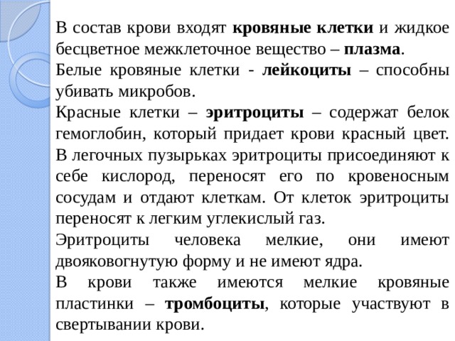 В состав крови входят кровяные клетки и жидкое бесцветное межклеточное вещество – плазма . Белые кровяные клетки - лейкоциты – способны убивать микробов. Красные клетки – эритроциты – содержат белок гемоглобин, который придает крови красный цвет. В легочных пузырьках эритроциты присоединяют к себе кислород, переносят его по кровеносным сосудам и отдают клеткам. От клеток эритроциты переносят к легким углекислый газ. Эритроциты человека мелкие, они имеют двояковогнутую форму и не имеют ядра. В крови также имеются мелкие кровяные пластинки – тромбоциты , которые участвуют в свертывании крови. 