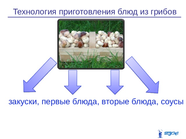 Технология приготовления блюд из грибов закуски, первые блюда, вторые блюда, соусы 
