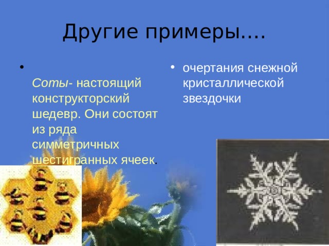 Другие примеры….  Соты - настоящий конструкторский шедевр. Они состоят из ряда симметричных шестигранных ячеек . очертания снежной кристаллической звездочки  