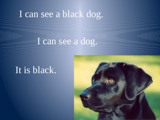 I can see a black dog. I can see a dog. It is black. 