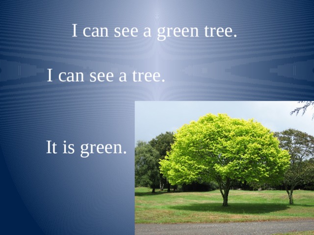 I can see a green tree. I can see a tree. It is green. 
