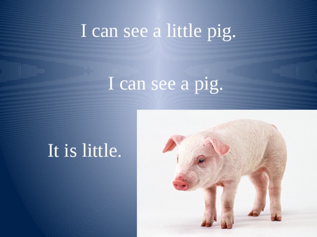 I can see a little pig. I can see a pig. It is little. 
