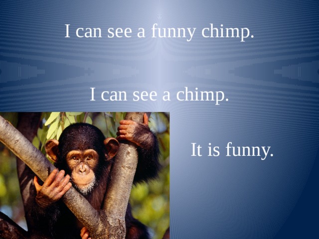 I can see a funny chimp. I can see a chimp. It is funny. 