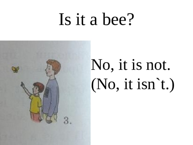 Is it a bee? No, it is not. (No, it isn`t.) 