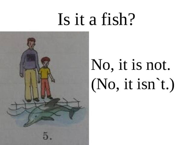 Is it a fish? No, it is not. (No, it isn`t.) 