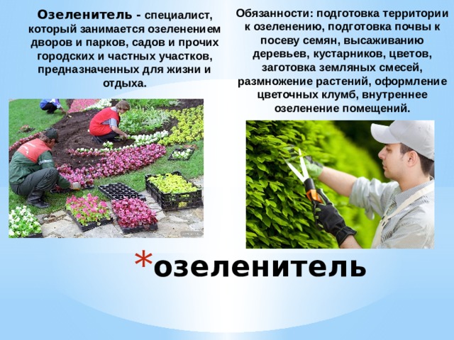Презентация про садовода