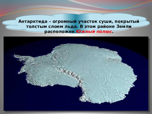  Антарктида – огромный участок суши, покрытый толстым слоем льда. В этом районе Земли расположен Южный полюс . 